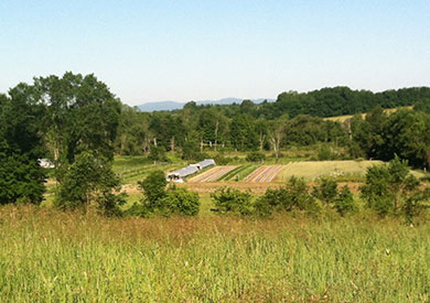 Vermont Gleaning Collective participating Farm
